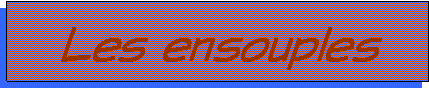 Zone de Texte: Les ensouples 