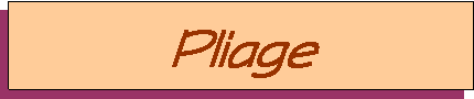 Zone de Texte: Pliage 