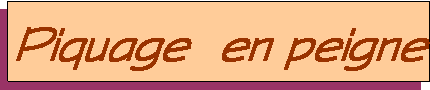 Zone de Texte: Piquage  en peigne
