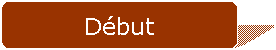 Rectangle  coins arrondis: Dbut 