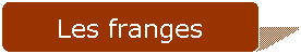 Rectangle  coins arrondis: Les franges